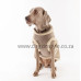 Stone denim and sheepskin jacket