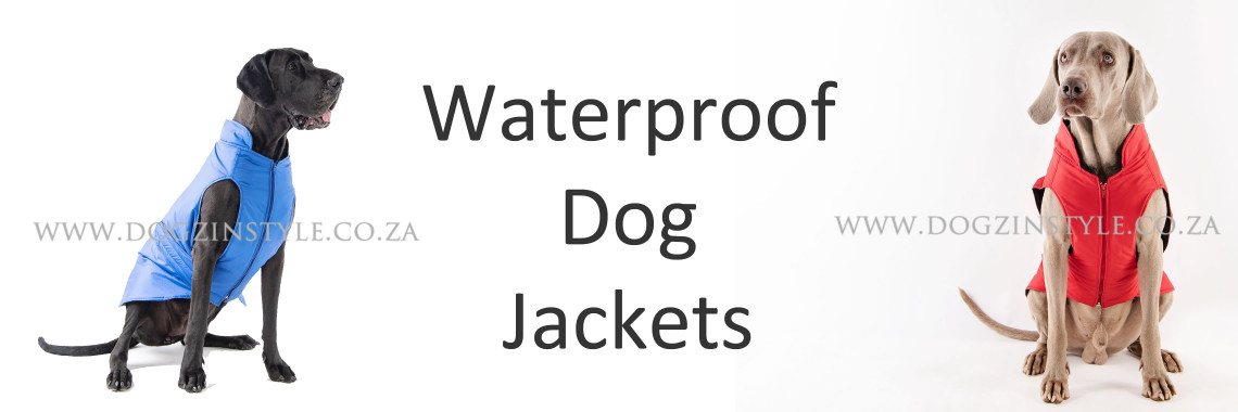 Waterproof dog jackets