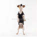 Black waterproof dog jacket